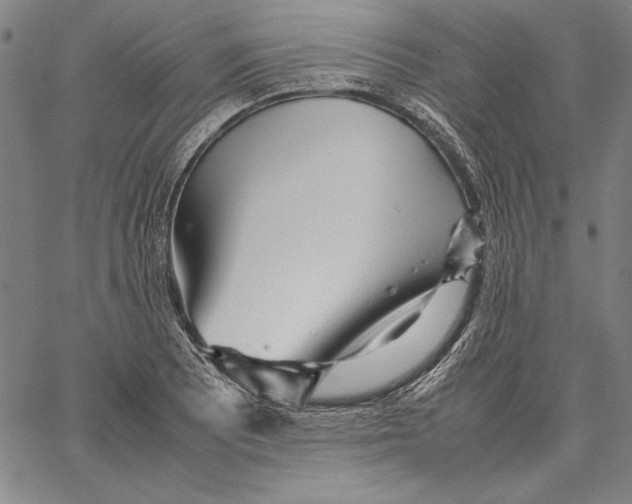 X0000067381081200604211602