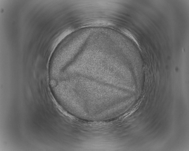 X0000067381087200604211602