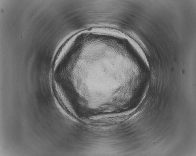 X0000067381100200604211601