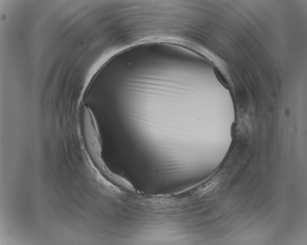 X0000067381102200604211601