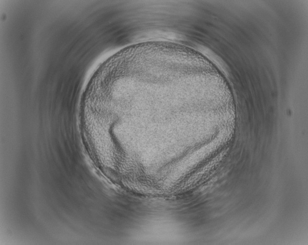 X0000067381104200604211601