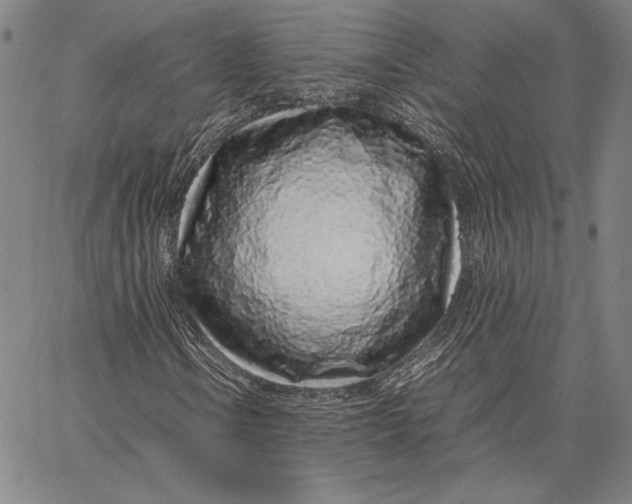 X0000067381106200604211600