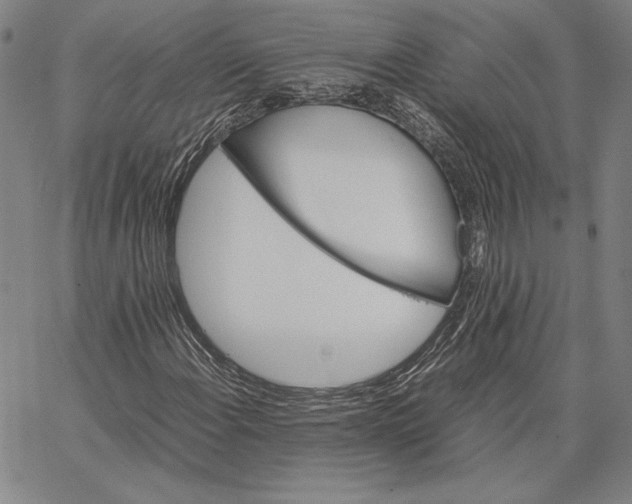 X0000067381108200604211600