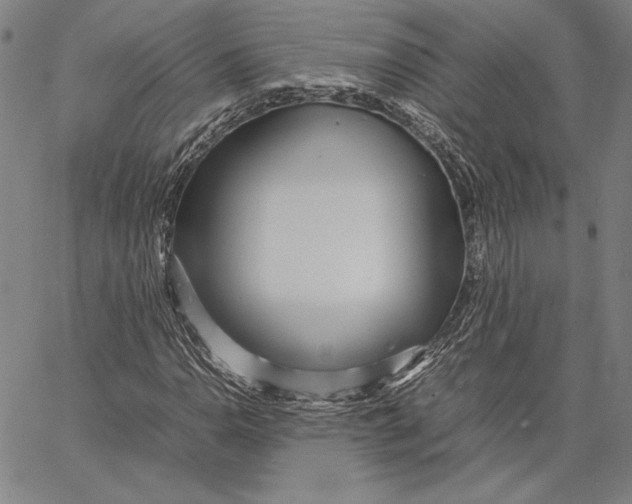 X0000067381110200604211601