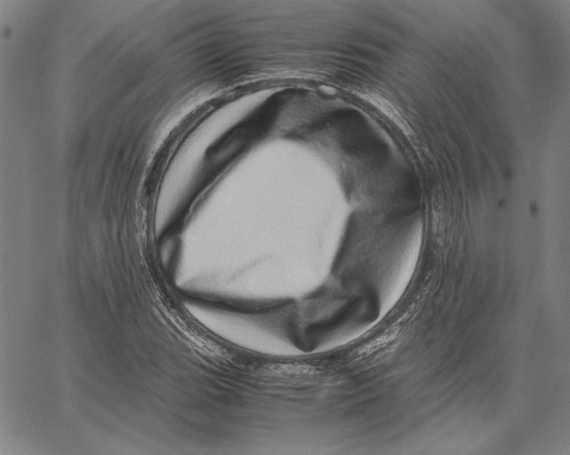 X0000067381119200604211601