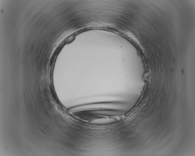 X0000067381124200604211601