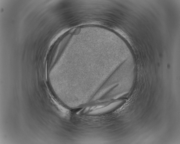 X0000067381127200604211601
