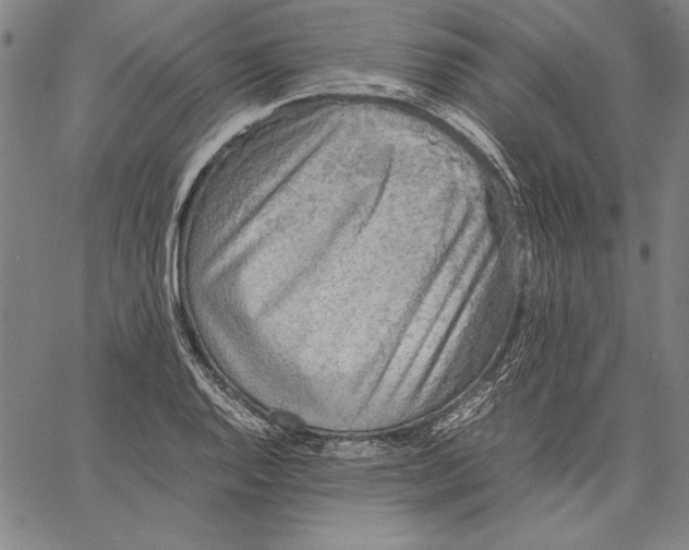 X0000067381128200604211601
