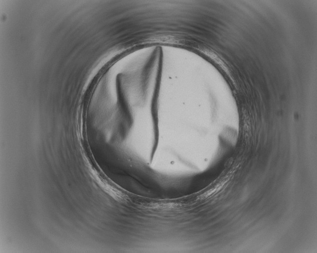 X0000067381131200604211601