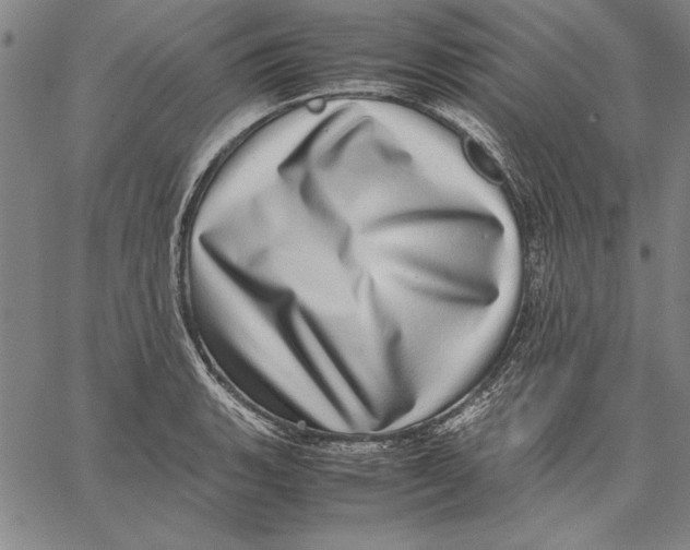X0000067381135200604211601