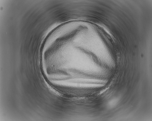 X0000067381143200604211601