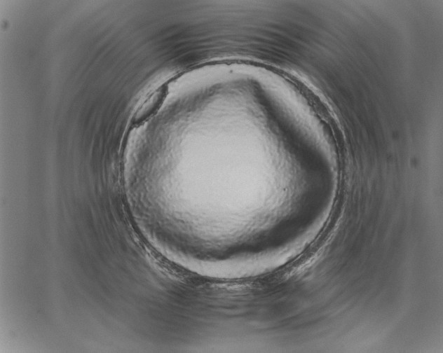 X0000067381145200604211601