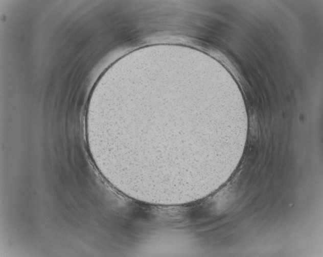 X0000067381150200604211601