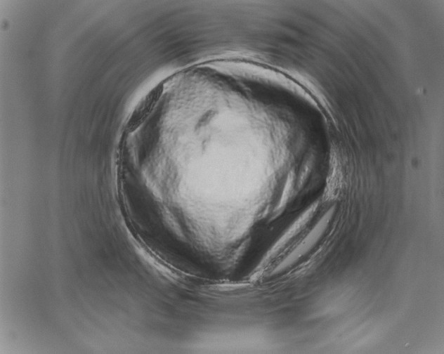 X0000067381151200604211601