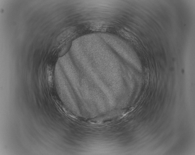 X0000067381154200604211600