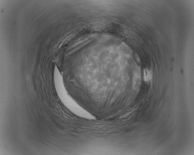 X0000067381155200604211600