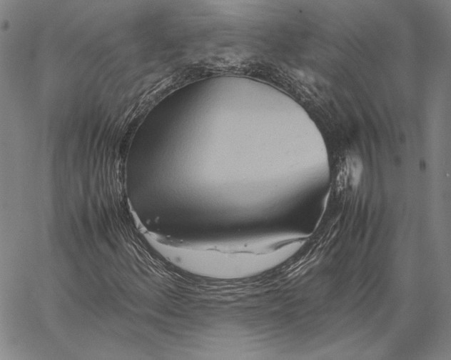X0000067381156200604211600