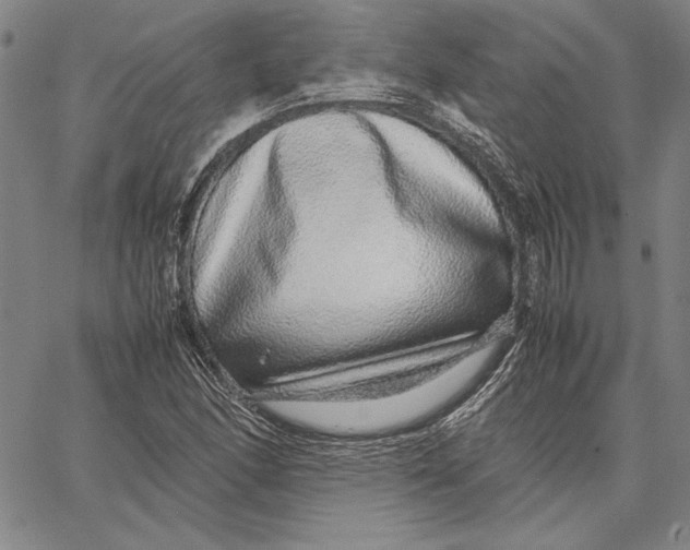 X0000067381166200604211600