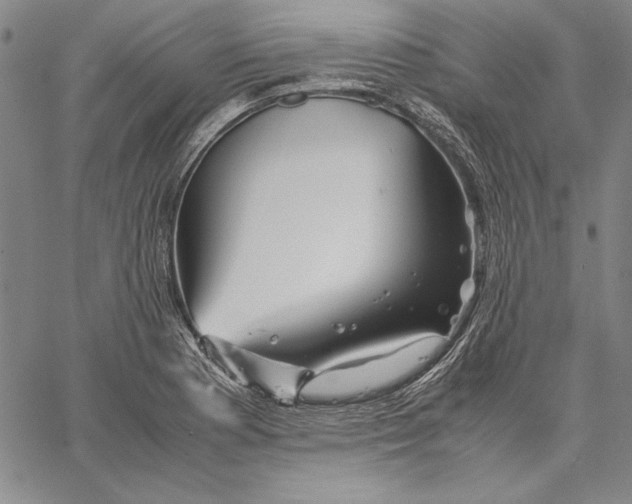 X0000067381177200604211600