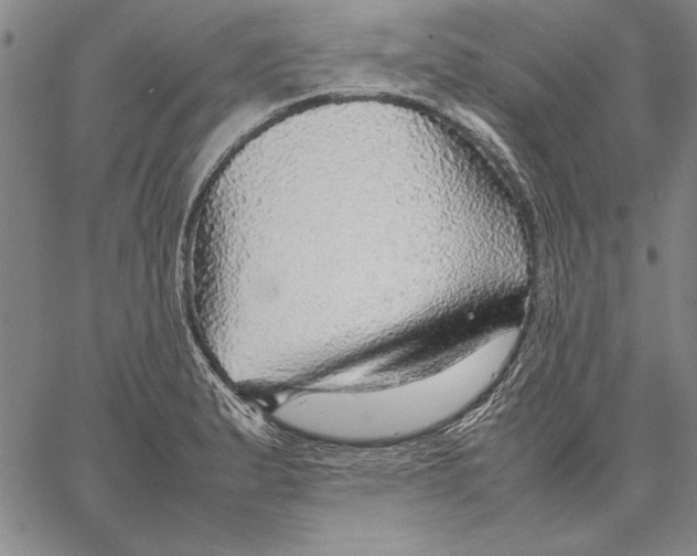 X0000067381183200604211600