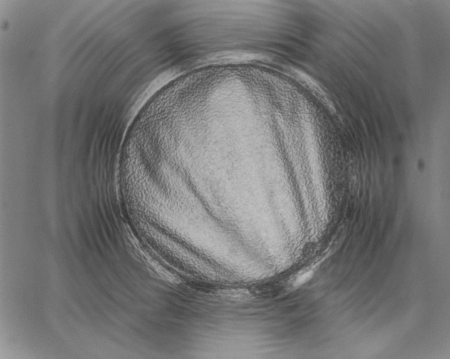 X0000067381186200604211600