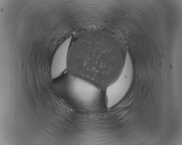 X0000067381202200604211559