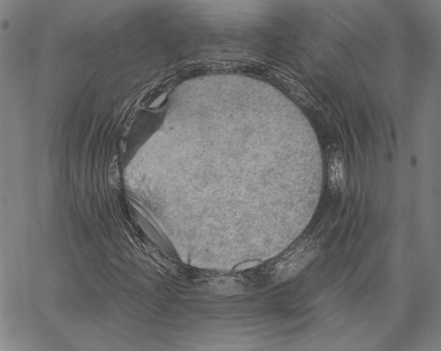 X0000067381204200604211559