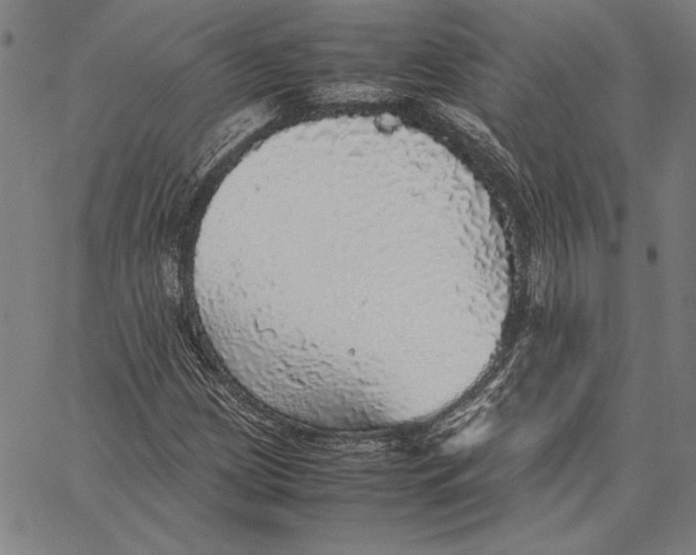 X0000067381209200604211559