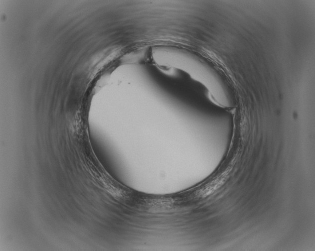 X0000067381210200604211559