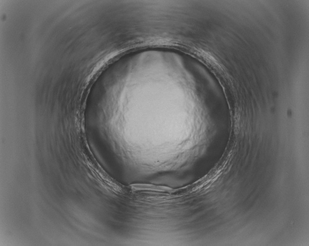 X0000067381212200604211559