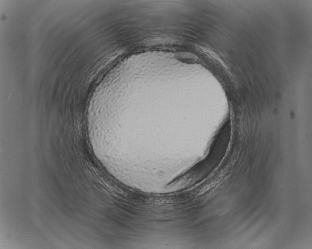 X0000067381217200604211559