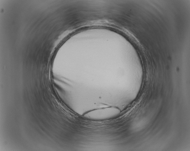 X0000067381224200604211559