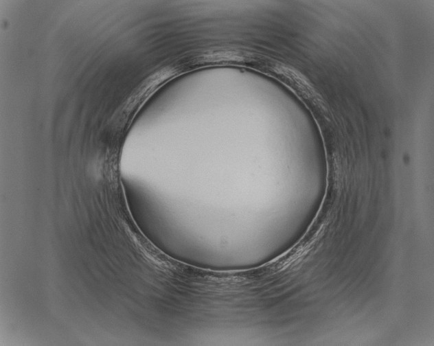 X0000067381225200604211559