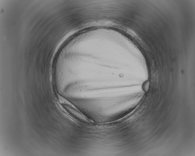 X0000067381232200604211559