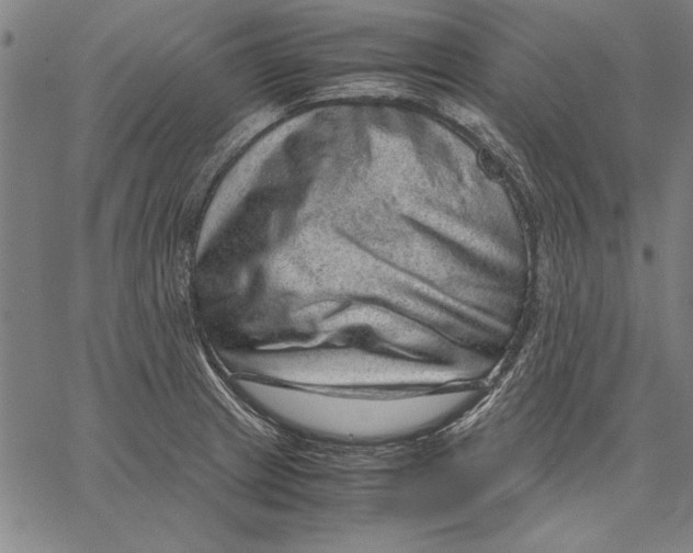 X0000067381233200604211559