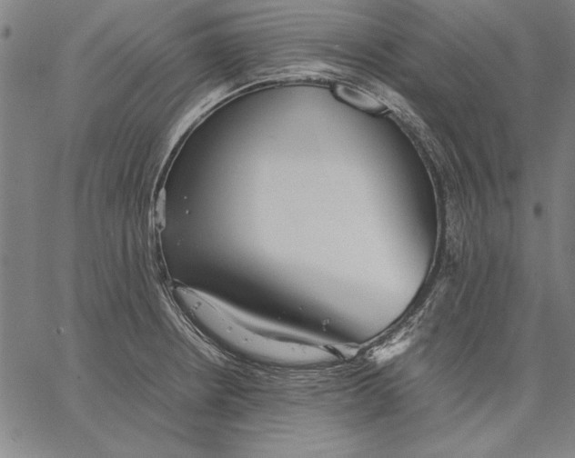 X0000067381234200604211559