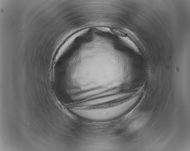 X0000067381236200604211559