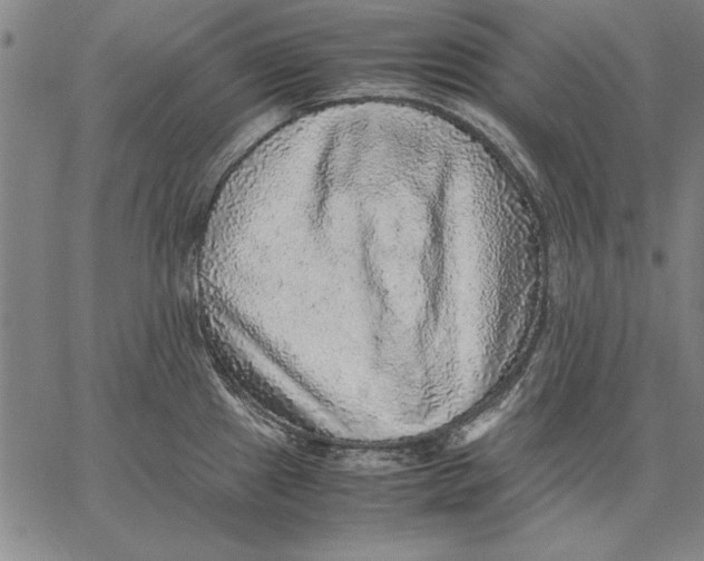 X0000067381241200604211559