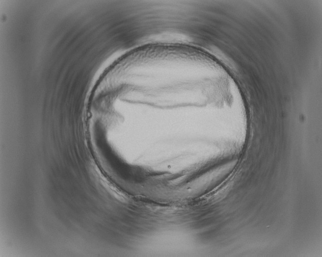 X0000067381248200604211600