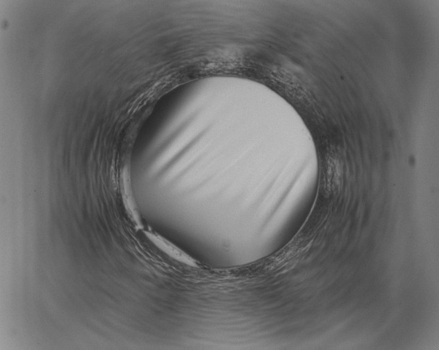 X0000067381250200604211559