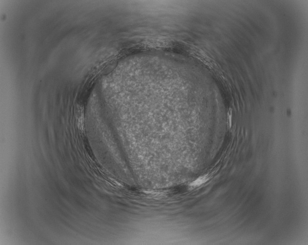 X0000067381251200604211559