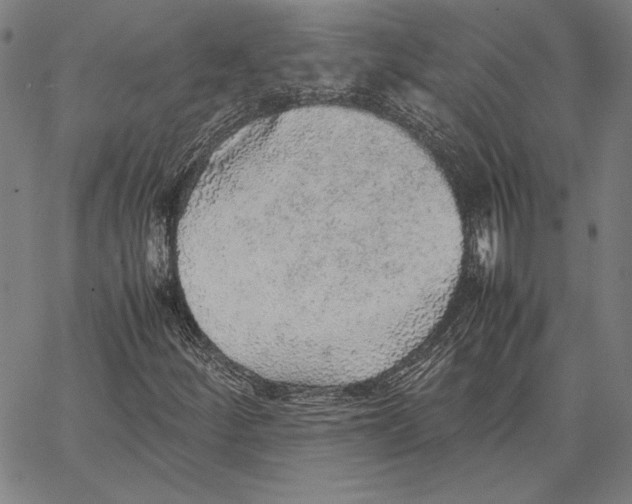 X0000067381252200604211559