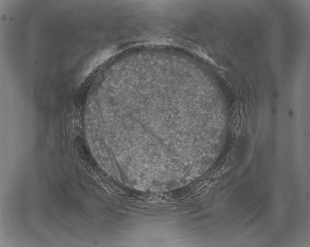 X0000067381255200604211559