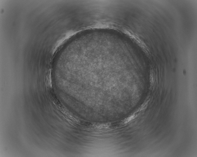 X0000067381262200604211559
