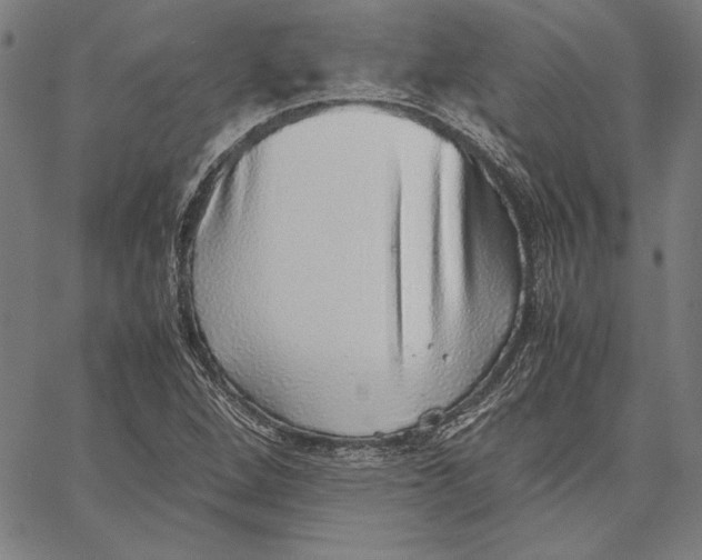 X0000067381264200604211559