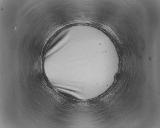X0000067381268200604211558