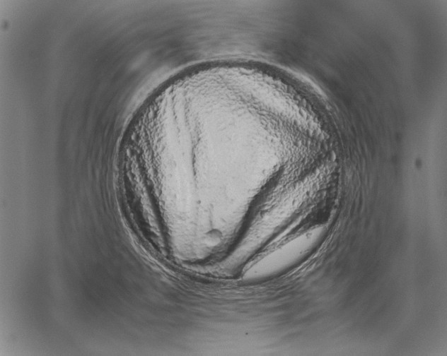 X0000067381279200604211558