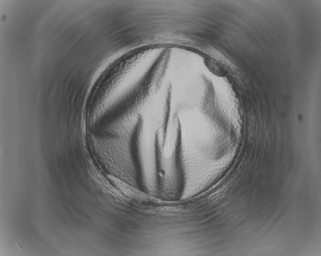 X0000067381280200604211558