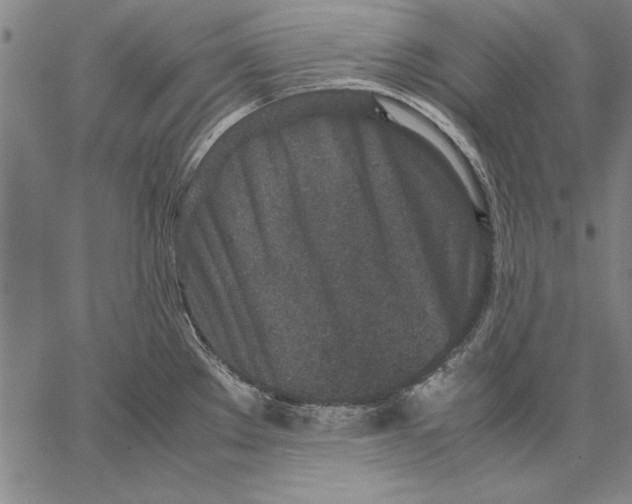 X0000067381289200604211558