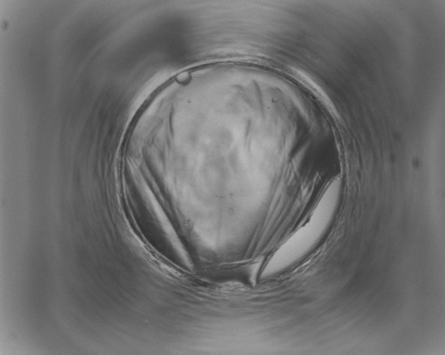 X0000067381291200604211558